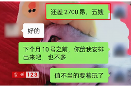 沅江贷款清欠服务